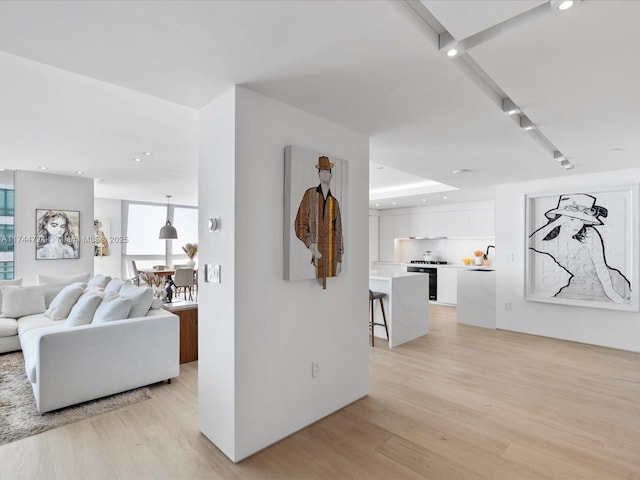 living room with light wood-style flooring and recessed lighting