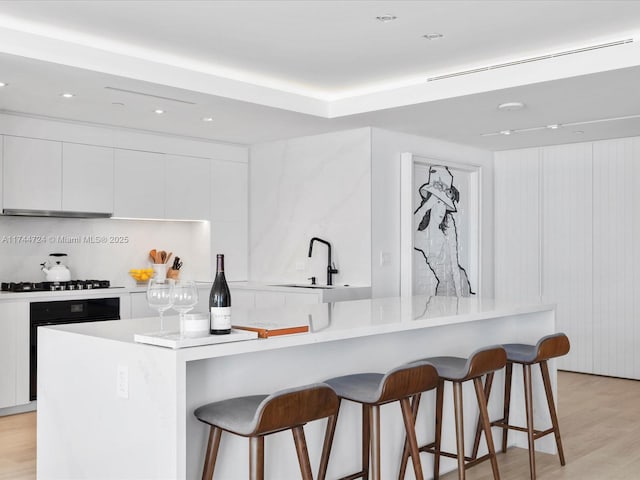 kitchen with white cabinets, modern cabinets, light countertops, and a sink