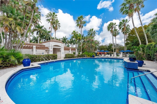 view of swimming pool