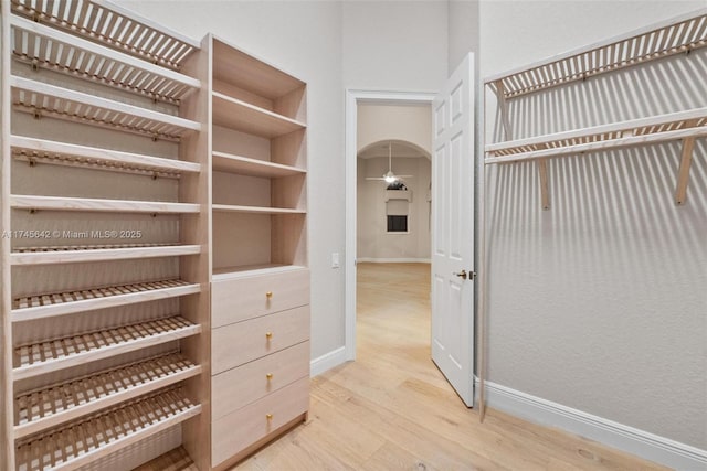 spacious closet featuring light hardwood / wood-style floors