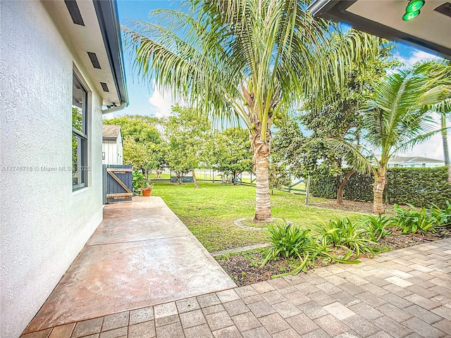 view of yard with a patio area