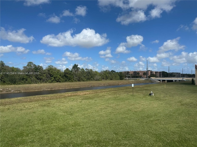 view of home's community with a yard