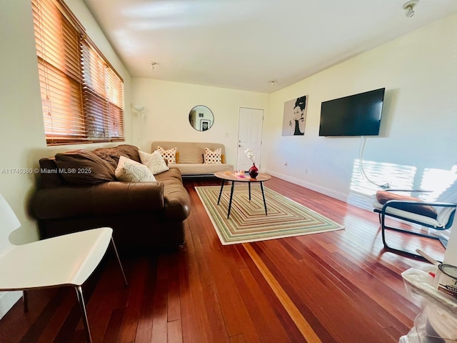 living room featuring hardwood / wood-style floors