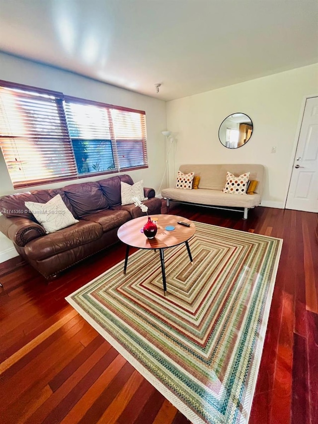 living room with dark hardwood / wood-style floors