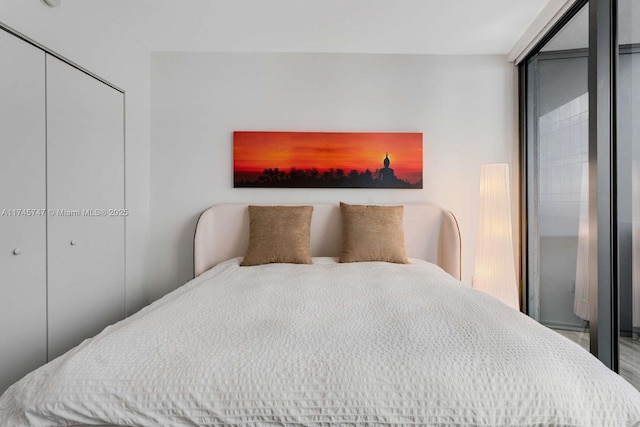 bedroom with a wall of windows and a closet