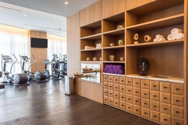 interior space with dark wood-type flooring