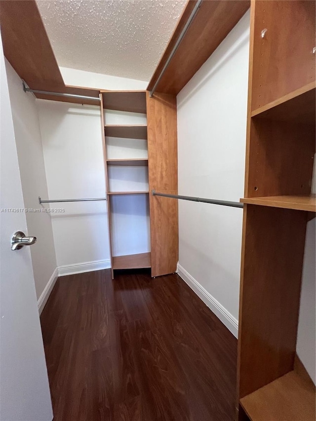 walk in closet featuring dark hardwood / wood-style flooring