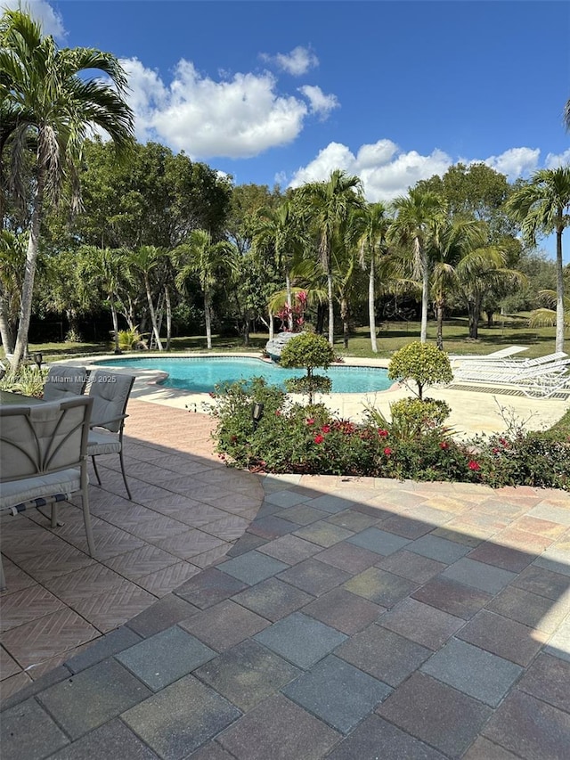 view of swimming pool featuring a patio