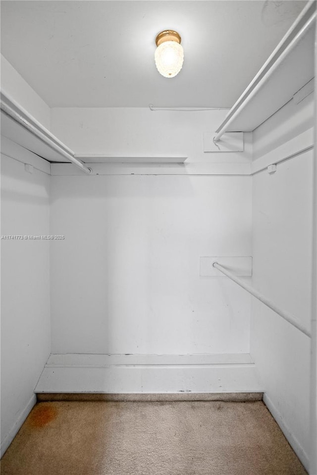 2811 N Pine Island Rd Unit 302, Sunrise, FL 33322 - walk in closet with carpet floors