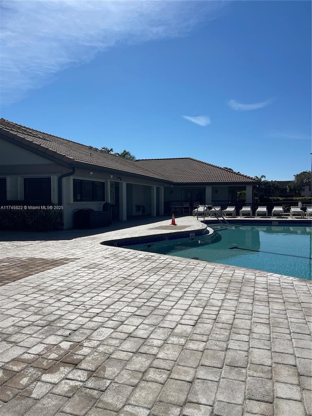 view of swimming pool with a patio area