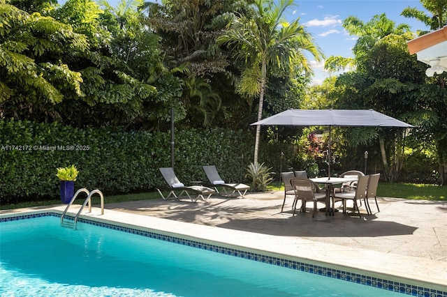 view of pool with a patio area