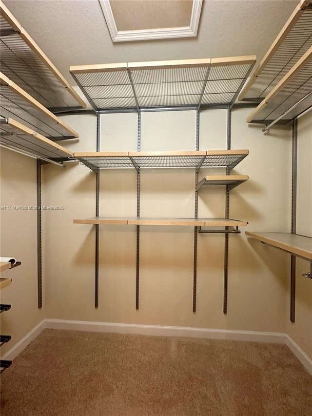 walk in closet with carpet floors