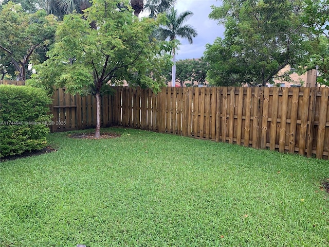 view of yard