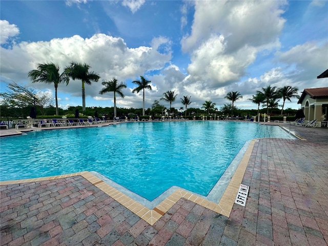 view of swimming pool featuring a patio