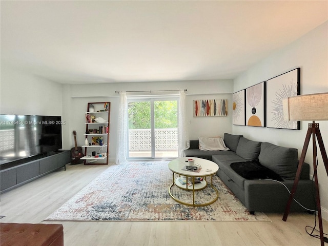 living room featuring hardwood / wood-style floors