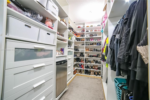 view of spacious closet