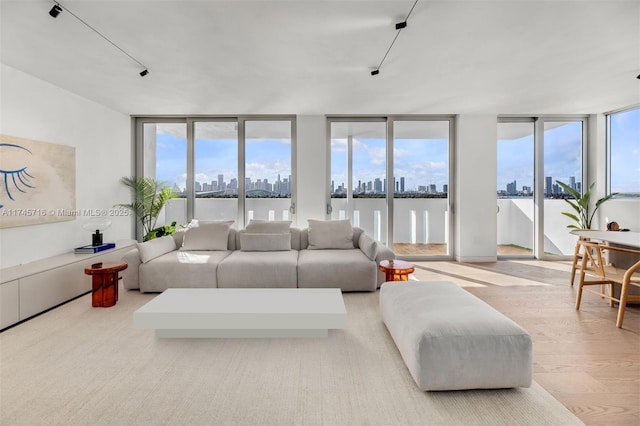 living room featuring floor to ceiling windows and light wood-type flooring