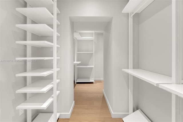 walk in closet with light hardwood / wood-style flooring