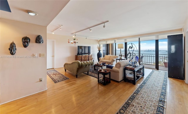 living room with track lighting, light hardwood / wood-style floors, and floor to ceiling windows