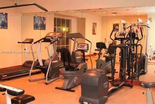 10717 Cleary Blvd Unit 203, Plantation, FL 33324 - gym with carpet floors