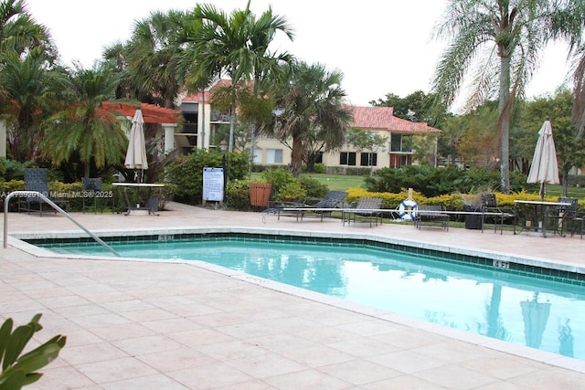 view of pool with a patio