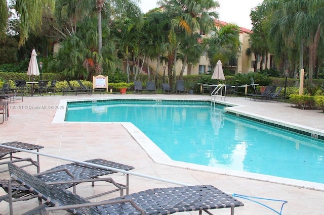 view of swimming pool featuring a patio