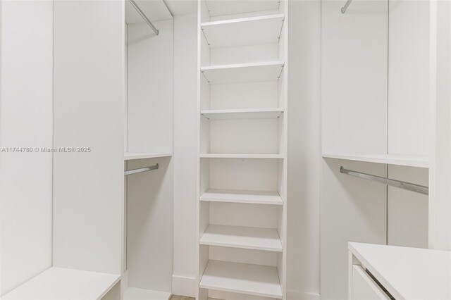 view of spacious closet
