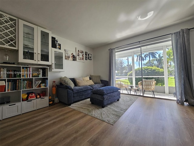 living room featuring dark hardwood / wood-style flooring