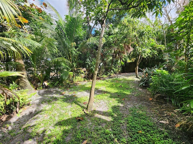 view of yard with fence