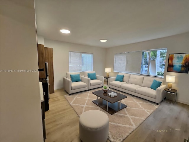 living room with light wood-type flooring