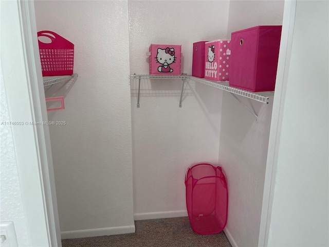 8225 Lake Dr Unit 502, Doral, FL 33166 - spacious closet with carpet flooring