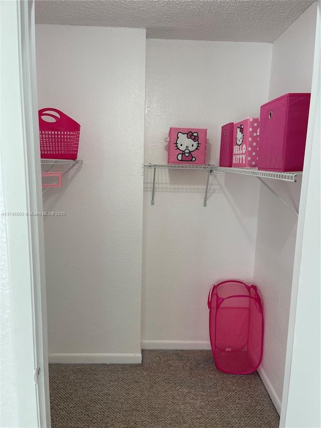 8225 Lake Dr Unit 502, Doral, FL 33166 - walk in closet with carpet flooring