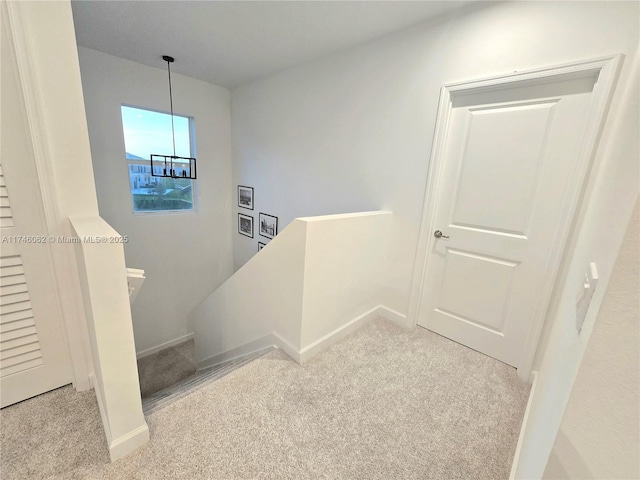 staircase featuring carpet floors