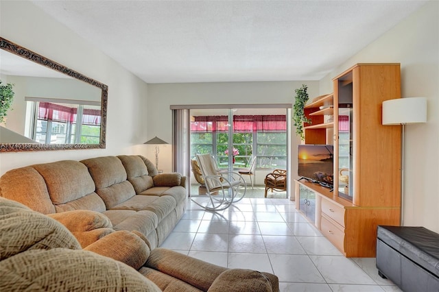 living room with a textured ceiling