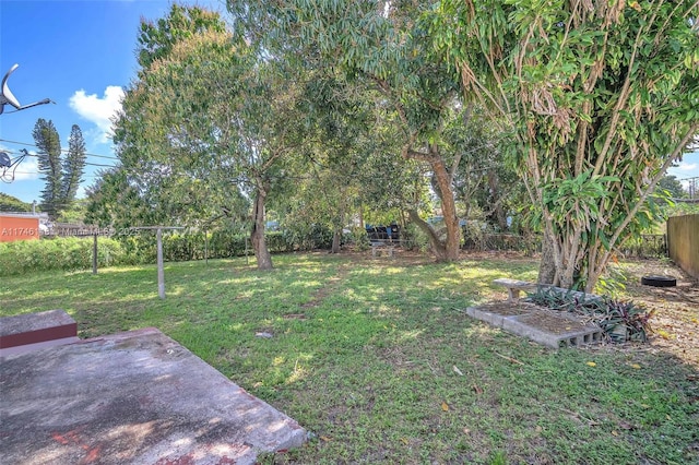 view of yard featuring a patio area