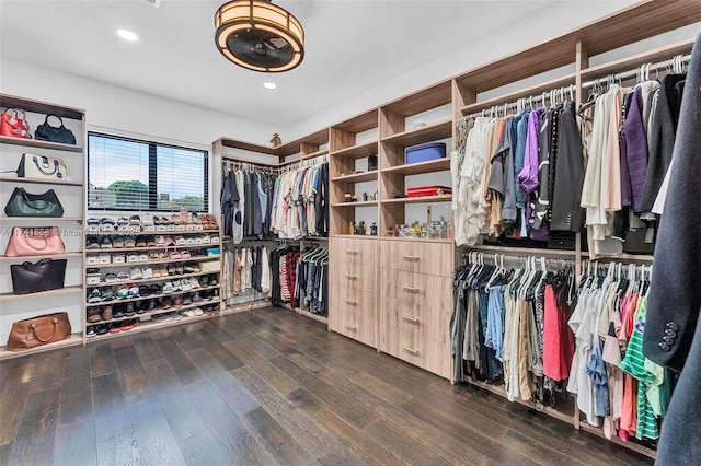 spacious closet with dark wood-style flooring