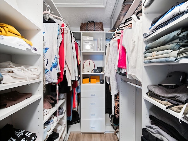 walk in closet with light wood-type flooring