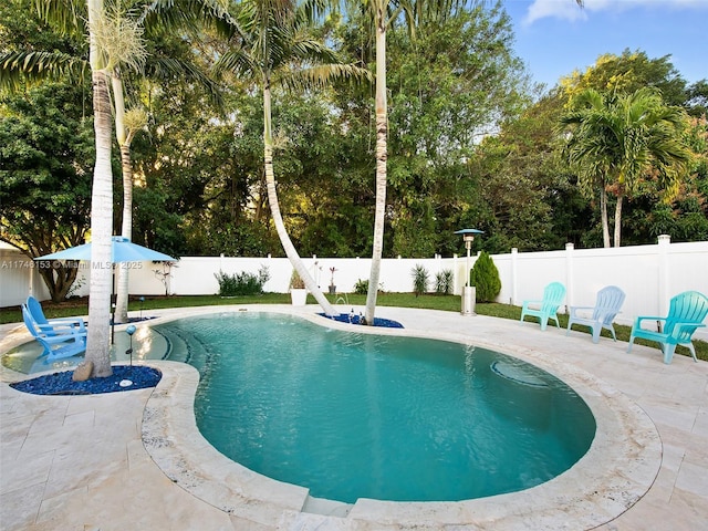 view of swimming pool with a patio