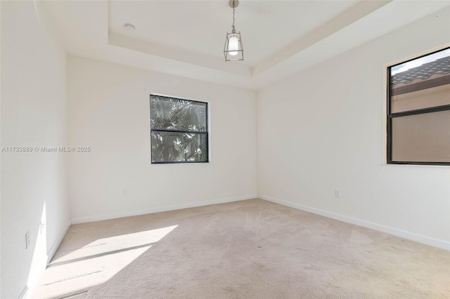 empty room with a raised ceiling, a healthy amount of sunlight, and light colored carpet