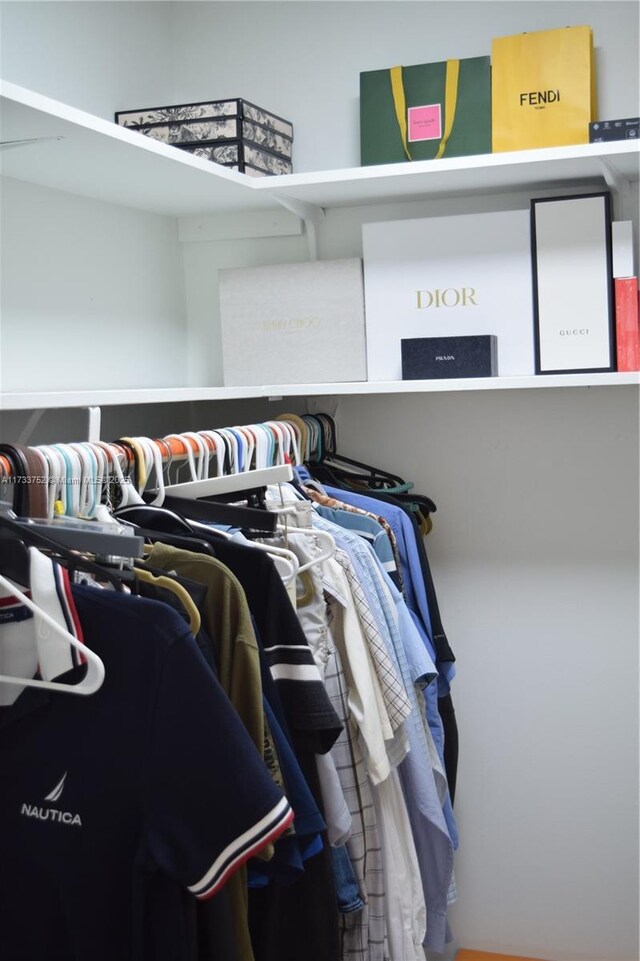 view of walk in closet