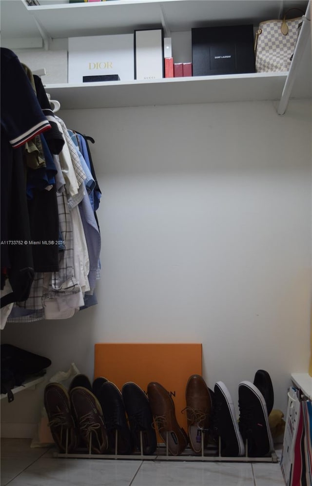 view of spacious closet