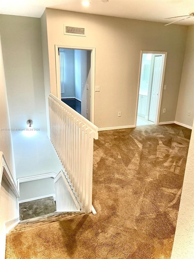 empty room featuring carpet
