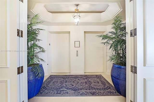 foyer entrance featuring a raised ceiling and elevator