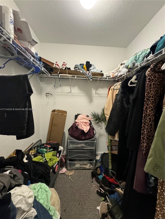 spacious closet with carpet