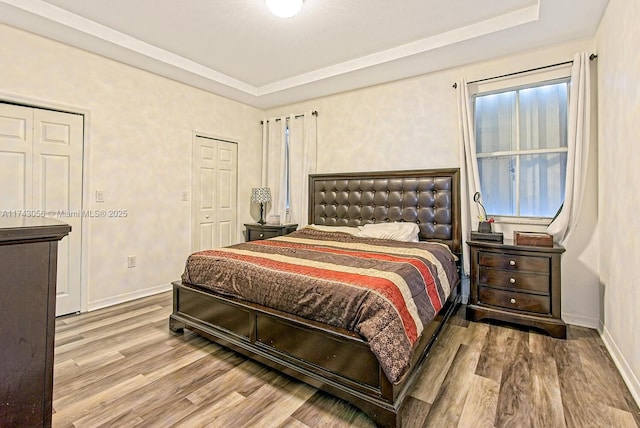 bedroom with a raised ceiling and hardwood / wood-style flooring