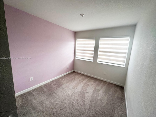 empty room featuring carpet floors