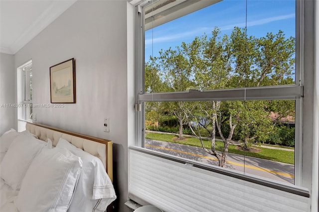 1826 Capeside Cir, Wellington, FL 33414 - bedroom featuring multiple windows and crown molding