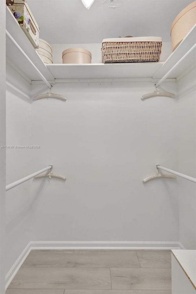 1826 Capeside Cir, Wellington, FL 33414 - spacious closet with light wood-type flooring