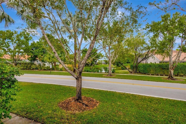 1826 Capeside Cir, Wellington, FL 33414 - view of green lawn