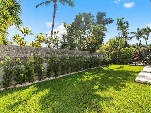 view of yard featuring a fenced backyard